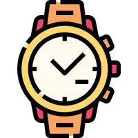 Wrist watch Icon