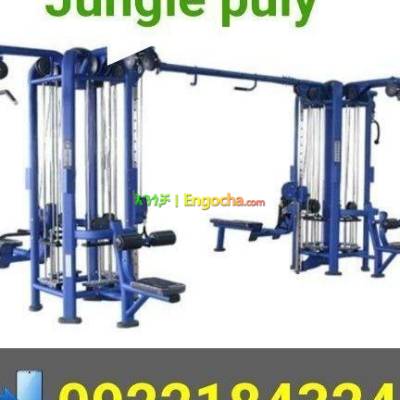  Jungle puly for sale 
