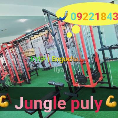  Jungle puly for sale