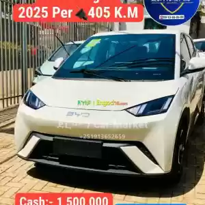 2025 Electric መኪኖች 50% ባንክ አለን BYD Changan Bz4x Neta in Ethiopia