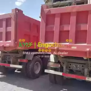 50% bank Sino Gelibach Dumptruk 2024 Price in Ethiopia