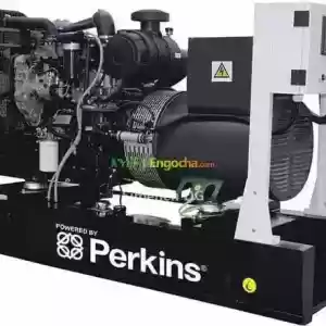 Are You Looking For High Quality Generator Importer & Supplier Companies in Ethiopia? in Ethiopia