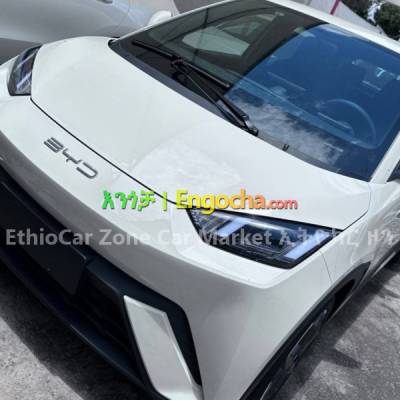 BYD Dolfin 2023 Brand New Full Option Electric Car