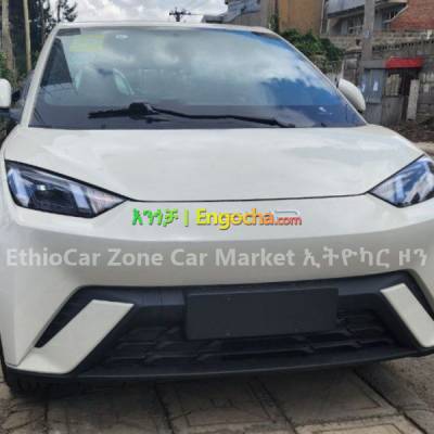 BYD Seagull 2023 Brand New and Full Option Electric Car
