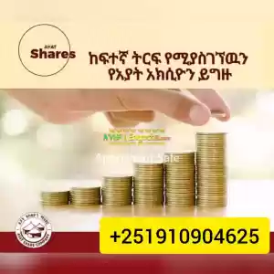 Big Profit in Ethiopia