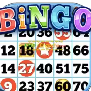 Bingo Game system Price in Ethiopia