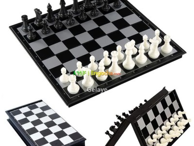 Brains chess(Magnetic)
