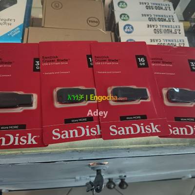 Brand new SanDisk Flash