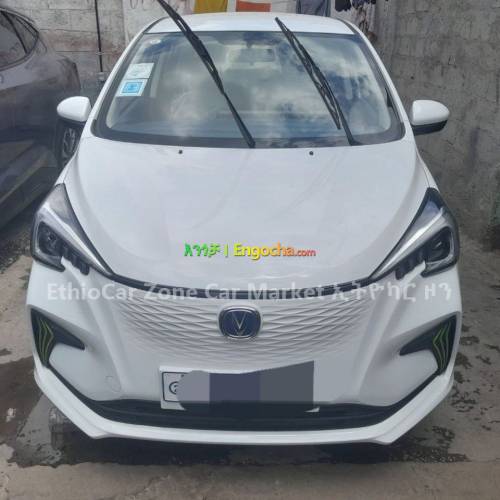 Changan BenBen E-Star 2023 Slightly Used Very Excellent Electric Car for Sale