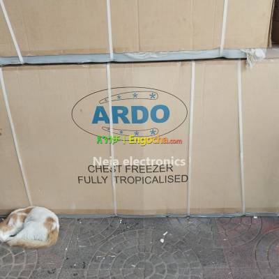 DEEP FREEZERS ARDO 500L