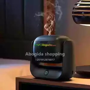 Green Lion Rotatable Incense Burner in Ethiopia