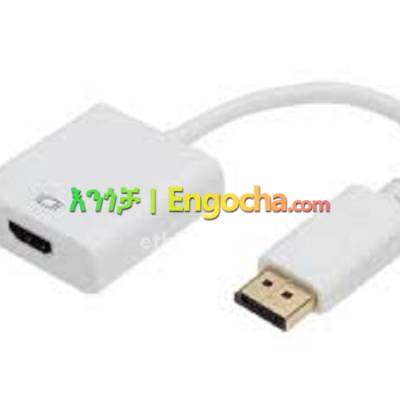 HDMI to DisplayPort Cable Adapter