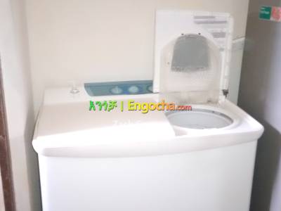 Hitachi Twin Tub Washing machine (Japan)