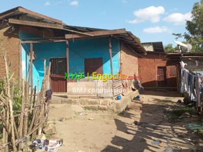 House to sell at Addisu michael area