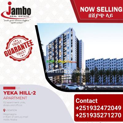Jambo Real Estate Gurd shola