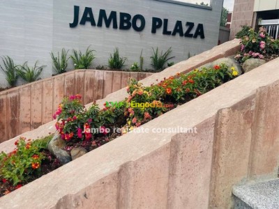 Jambo Realestate Appartments