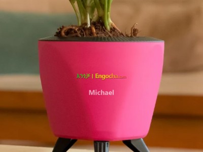 Lagos 13cm Round Plastic Pot For Home & Garden Decor