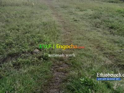 Land for Sale Total 1000 M2
