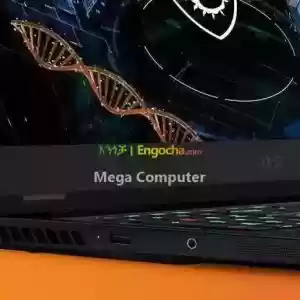 MSI HP 66 leopard in Ethiopia