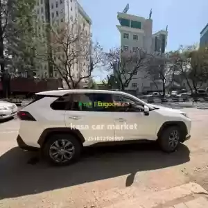 Make.. Toyota Model.. Rav4 Year.. 2022Transmission.. Automatic Standard.. Europe CC.. 2.0 in Ethiopia