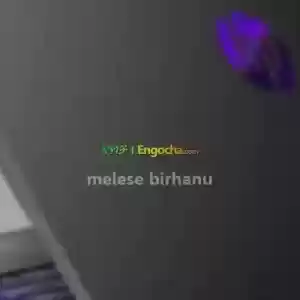 New Hp Power Pavilion Gaming Price in Ethiopia