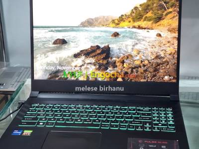 New Msi Gaming laptop
