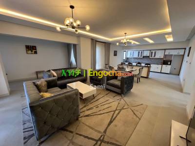 New fully furnished Luxury Apartment