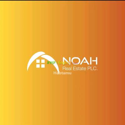 Noah Real Estate