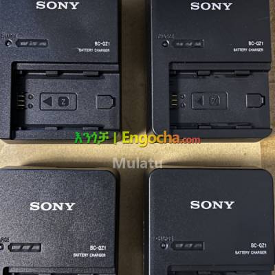 Original Sony Charger