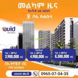 Ovid Real estate Price in Ethiopia