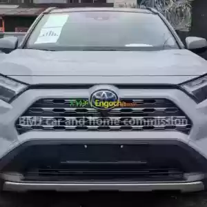 RAV4 Hybrid Avocado 2023 Europe in Ethiopia