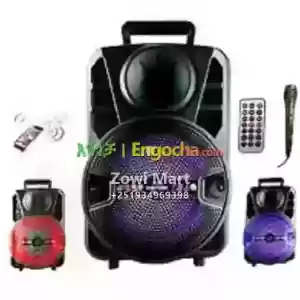 Rechargeable Party Speaker System Model:TH-812 in Ethiopia