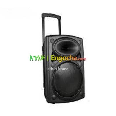 Su-Kaml speaker, FM Radio/USB/SD/AUX/MP3/2 Black 2 microphones