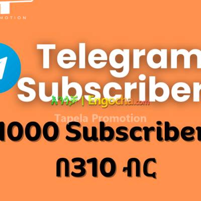 Telegram Subscribers