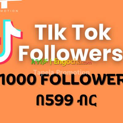 Tik Tok followers