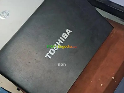 Toshiba portage