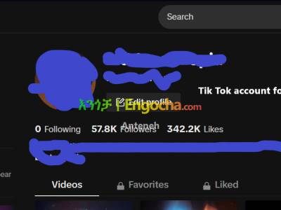VERIFIED TIKTOK ACCOUNT FOR SELL.