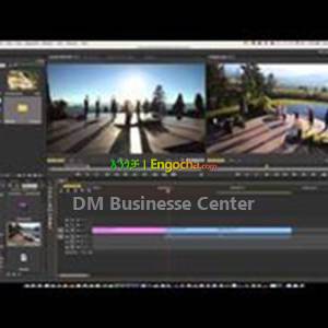 Video Editing, Logo Design, Content Creation