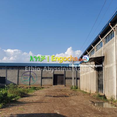 Warehouse For Rent at Ashewa-Meda