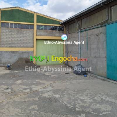 Warehouse For Rent at Haile-Garment