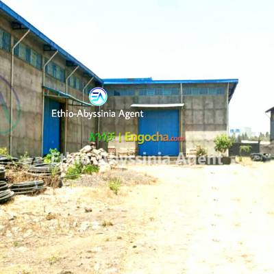 Warehouse For Sale at Kality