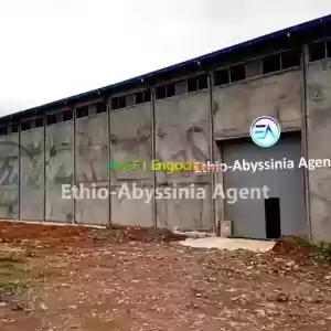 Warehouse For Sale at Tulu-Dimtu Price in Ethiopia