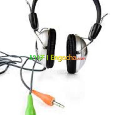 Weile Multimedia Stereo Headphone With Mic