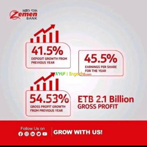 abysinia and zemen bank share