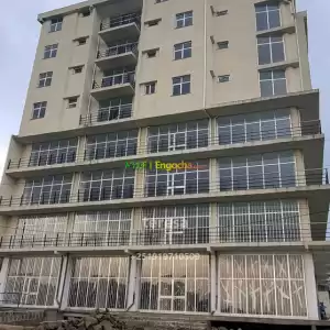 50% ባንክ የተምቻችለት Price in Ethiopia