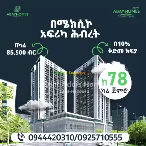 Abay Homes real estate Price in Ethiopia