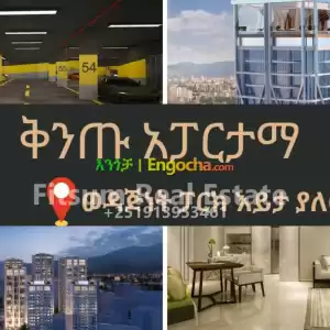 Amibara Properties Price in Ethiopia