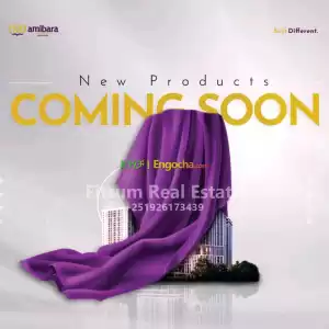 Amibara Properties Price in Ethiopia