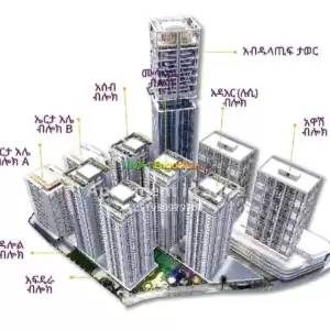 Amibara properties Price in Ethiopia
