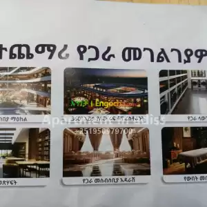 Amibara property Price in Ethiopia